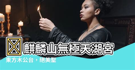 麒麟山無極天湖宮東方木公台 相片|台東